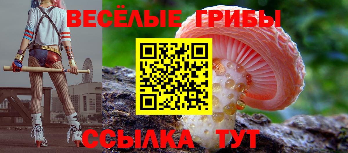 Псилоцибиновые грибы GOLDEN TEACHER Вязьма